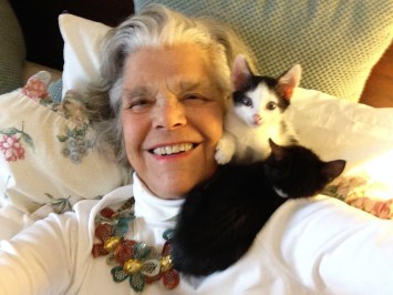 Three kitties, no waiting IMG_0831